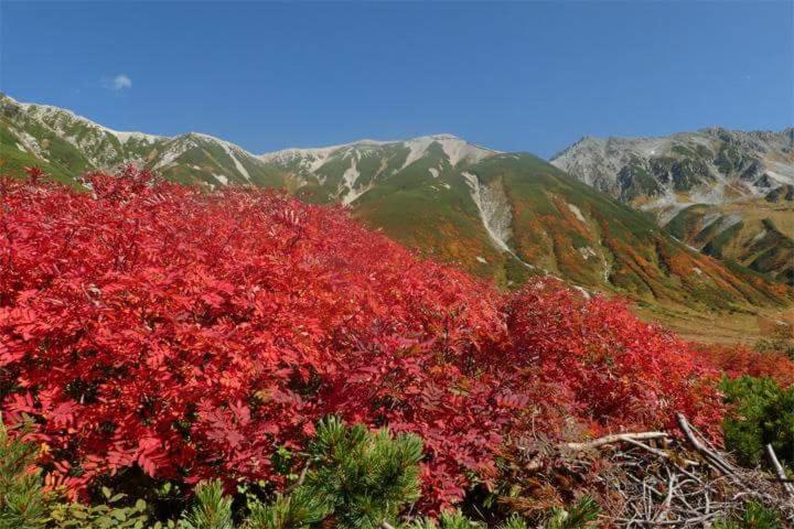 Minamiso Omachi (Nagano) Bagian luar foto